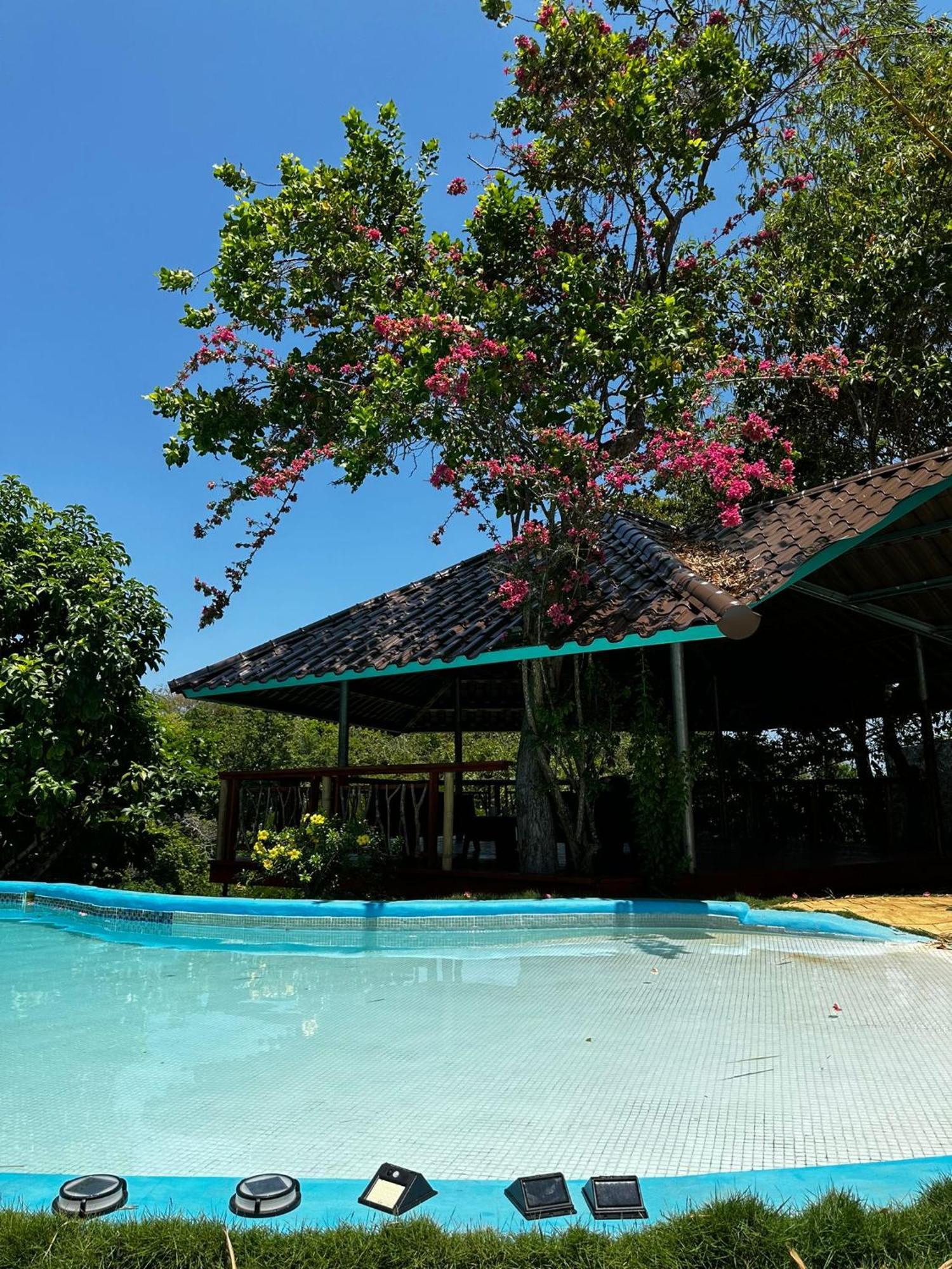 Villas Isla Escondida Boca Chica Extérieur photo